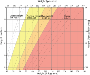 Body Mass Index